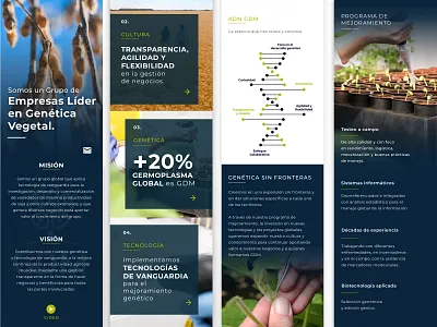 Mobile first redesign branding design mobile first redesign responsive design ui ux web design website