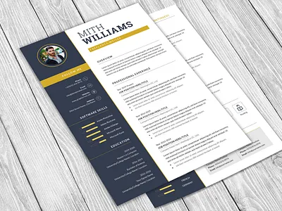 Resume Template 2 page 3 page a4 clean cv design elegant elegant resume female female resume feminine infographic letter minimalist modern modern resume portfolio professional resume resume clean