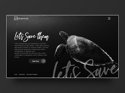 Adventure branding design illustration illustrator minimal ui ux web website