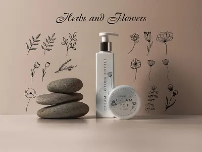 Herbs and flowers aromatherapy beauty branch cosmetic decorative doodle ecology flowers hand drawn herb illustration leaves medicine nature organic plant rustic spring summer vector