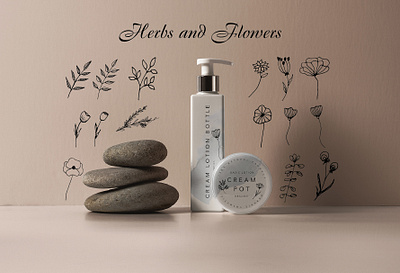 Herbs and flowers aromatherapy beauty branch cosmetic decorative doodle ecology flowers hand drawn herb illustration leaves medicine nature organic plant rustic spring summer vector