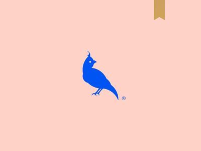 Tríave - Visual Brand 1618 abstract bird icon bird logo birds brand goldenratio icon logo mark minimalism minimalist photography simple unique