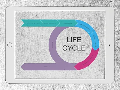life cycle infographic graphicdesign illustrator infographic vector