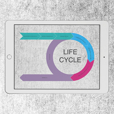 life cycle infographic graphicdesign illustrator infographic vector