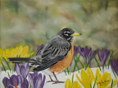 Spring Robin (Finished) chalks drawing fineart handdrawntype painting pastel pastelartist robin spring