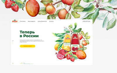 Andros France company design promo site ui ux web