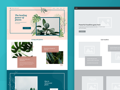 Homepage, Wires branding colour palette concept design icon illustraion inspired plant symbols typogaphy ui ux wireframe