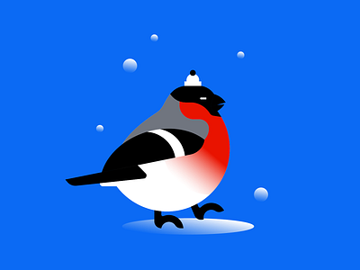 shot Bullfinch (2 version) bird bullfinch design flat illustration vector