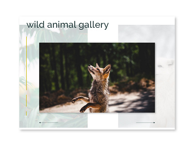 UI Daily Challenge 072 - Image Slider dailyui dailyuichallenge design gallery image image slider ui ux web