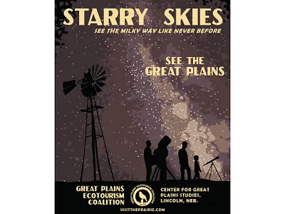 Starry Skies branding design graphic design graphicdesign illustration nature poster poster art poster design stars vector
