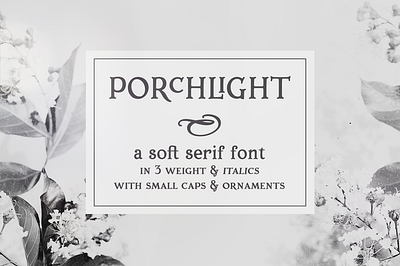 Porchlight serif font design font logo retro retro design serif font typography