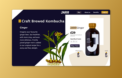kombucha branding design kombucha ui web