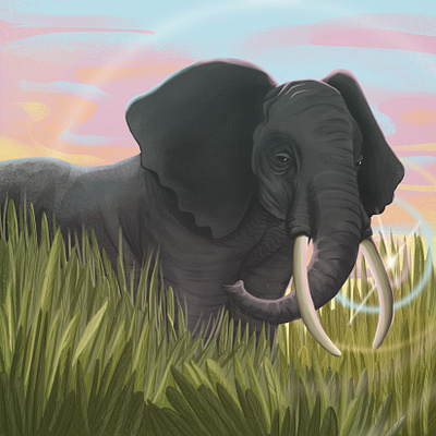 Elephant africa animal animal illustration art charactedesign children art children book illustration design elephant enviroment environment art illustration nature nature design nature illustration