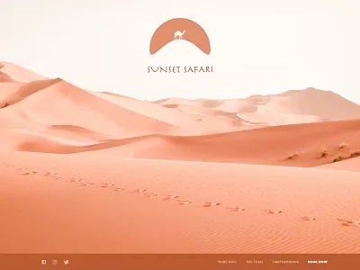 SUNSET SAFARI TRAVEL adobe xd branding design landing page mobile ui ui vector web design