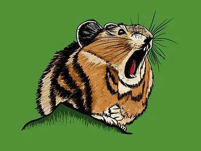 Wildlands Brewing - Pika Illustration animals arctic badge design beer beer branding brand identity branding branding design brewery canada craftbeer design illustration logo nature wilderness wildlands