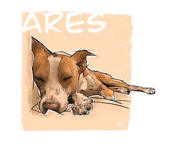 Ares 🐶 ares digital art digital illustration dog illustration procreate