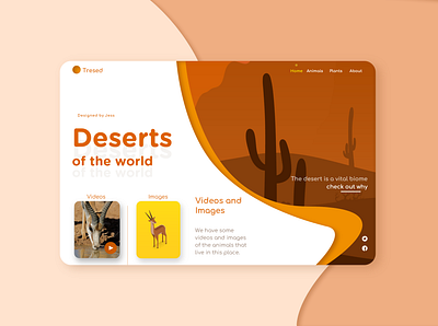 Tresed design flat illustration ui ux web webdesign website