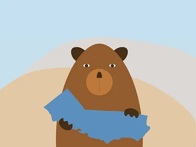 California: Screen 4 illustration motion graphic