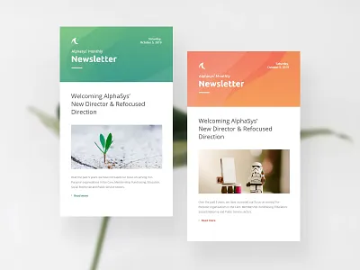 Alphasys Newsletter templates design newsletter newsletter design
