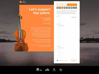 Old Project Donation page design donation donation page donation page design web design website
