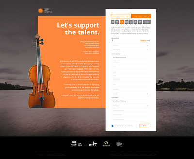 Old Project Donation page design donation donation page donation page design web design website
