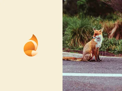 Cirfoxle Logo brand brand design brand identity branding branding design circle design fox fox logo foxy goldenratio illustraion logo logo design logodesign logos logotype matid