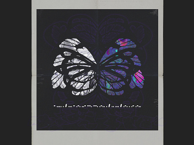 butterfly wings album cover butterfly digital graphicdesign illustration poster wings