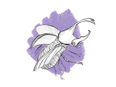 Rhino animal beetle bug character fly illustration insects rhino logo rhinoceros rhinoceros beetle scarab sketch sketching violet