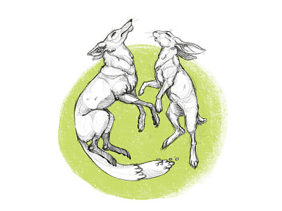 Harmony animal bw character forest fox green hunt illustration nature rabbit sketch sketches