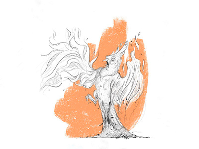 Phoenix animal bird bird illustration character fire illustration orange parrot phoenix phoenix suns sketch sketchy wings