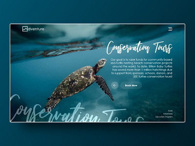 Adventure branding design flat illustration illustrator minimal typography ui ux web website