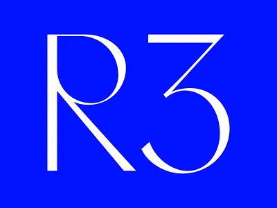 Porphyry 1 design lettering type type design typeface typography