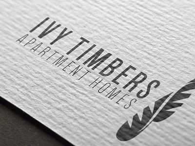 Ivy Timbers Branding brand design branding logo design presentation design