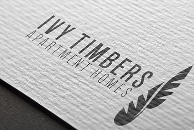 Ivy Timbers Branding brand design branding logo design presentation design