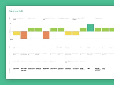 Experience Audit Poster customer experience customer journey customer journey map experience experience audit experience design experience journey user experience ux visualization