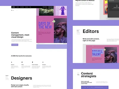Webflow feature pages - CMS cms cms development digital interface landing pages webflow