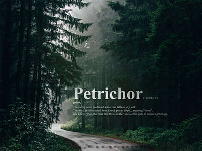 Petrichor definition dictionary forest photoshop rain