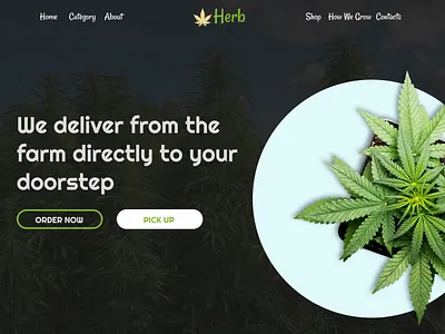 Herb/ cannabis inspiration branding cannabis figma natural organic webdesigns website weeds brand