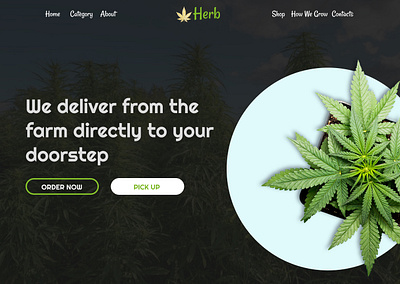 Herb/ cannabis inspiration branding cannabis figma natural organic webdesigns website weeds brand