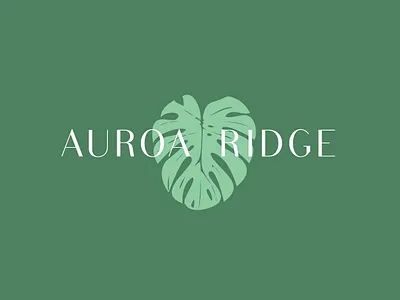 Auroa Ridge - Brand Identity beauty brand branding branding design clean cosmetics identity logo logo design logodesign monstera organic plant simple skincare sustainable
