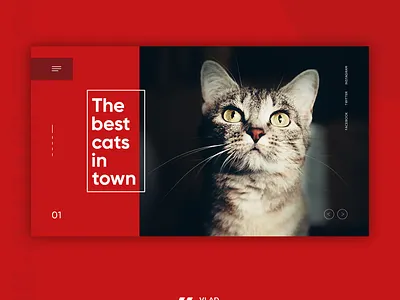 First Screen Cat | Shot design flat illustration inspiration interface landing ui web web design