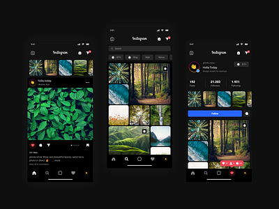 Insta App & Web adobe xd app clean concept creative design mobile app ui ux web