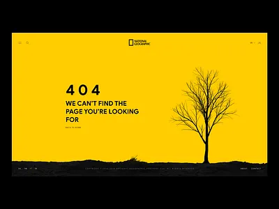 404 adobe xd design ui ux web website