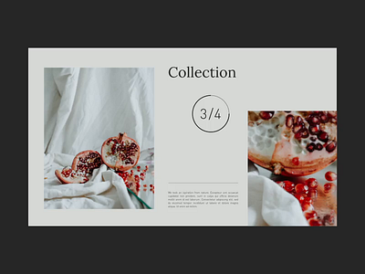 Collection animation collection design minimal portfolio ui ui ux ui ux design ux