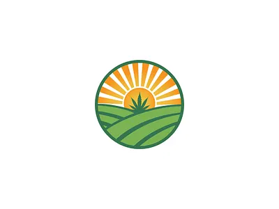 Hemp design hemp hemp farm hemp logo hemp oil logo marijuana marijuana logo marijuana products oil sun