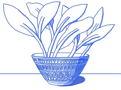 Bowl design fun illustration illustrator