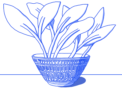 Bowl design fun illustration illustrator