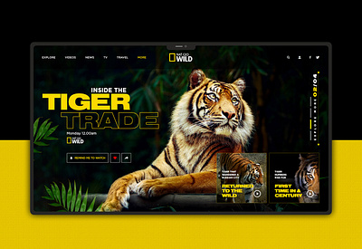 Tiger Ui design adobe adobe photoshop branding design illustration illustrator online store uidesign uiux uxdesign web web design webdesign website website builder website concept website design website store