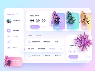 Grow Happy Dashboard UI application cool design desktop happy interface layout minimalism plants simple ui ux