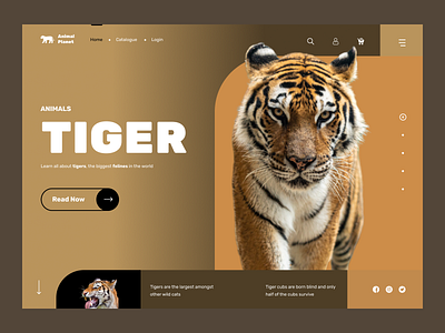 Animal Planet animals dribble figma ui ux uitrends webdesign